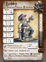 Themenbox Piraten