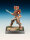 Themenbox Amazonen