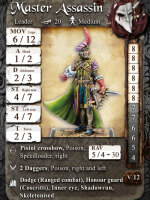 Masterassassin 2