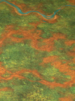 Jungle game mat