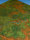 Jungle game mat