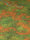 Jungle game mat