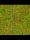 Jungle game mat